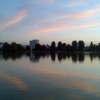 Reflection